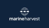 marine-harvest